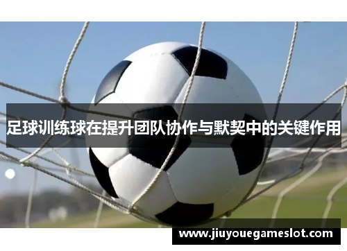足球训练球在提升团队协作与默契中的关键作用